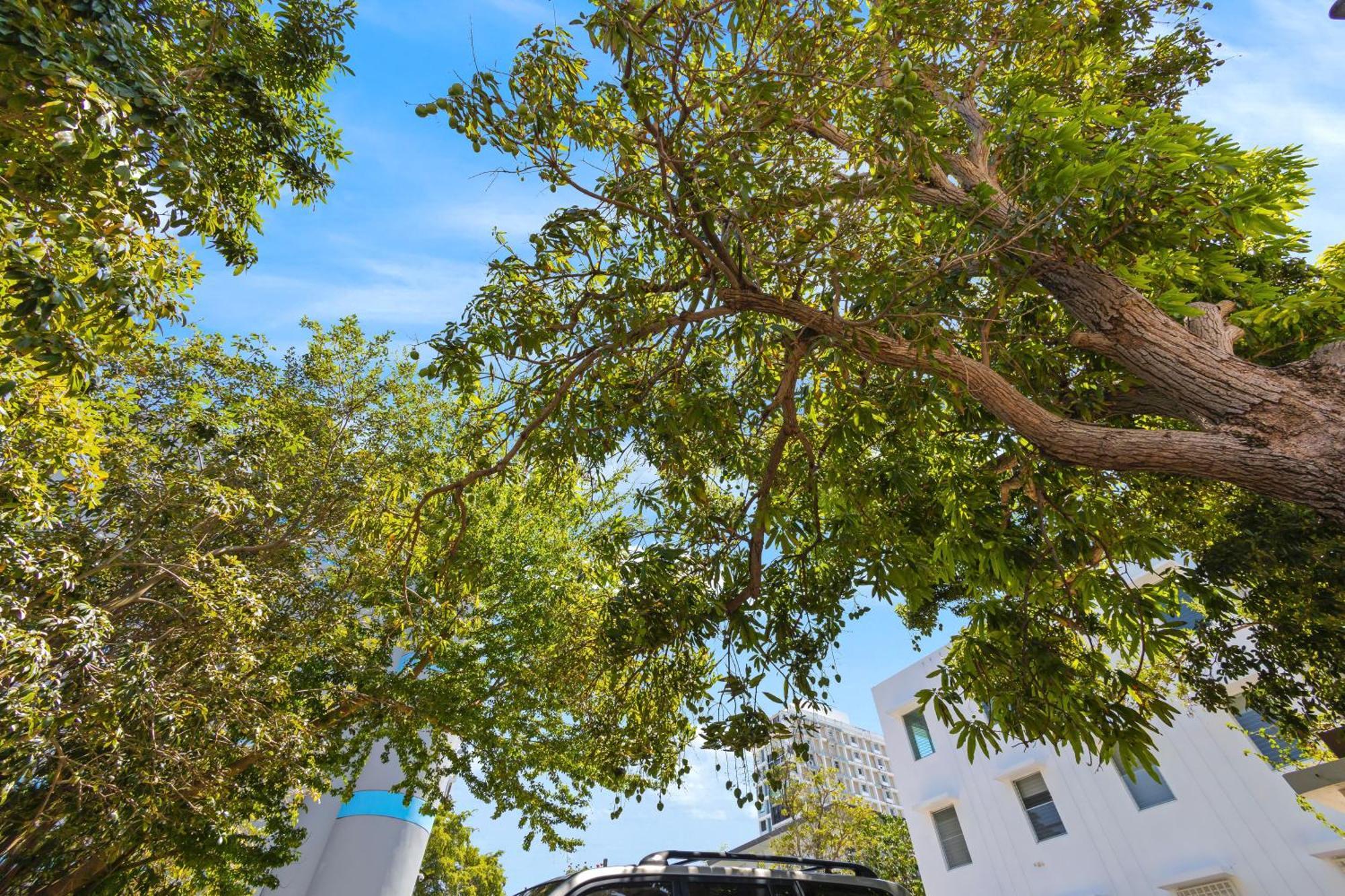Hidden Gem In Miramar- Power Generator- Parking Apartman San Juan Kültér fotó
