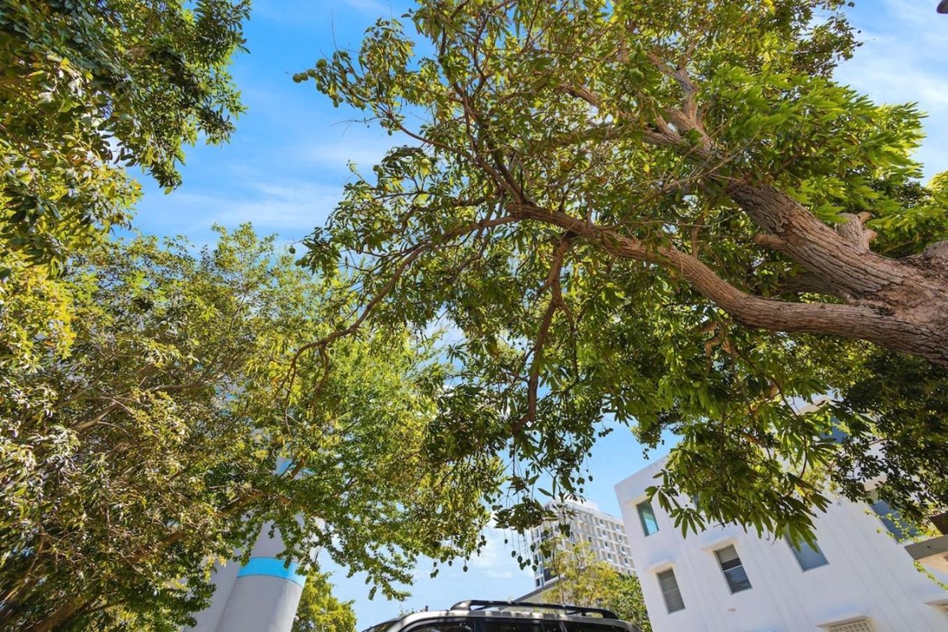 Hidden Gem In Miramar- Power Generator- Parking Apartman San Juan Kültér fotó
